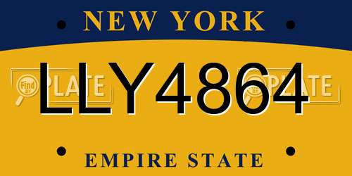 LLY4864 New York License Plate