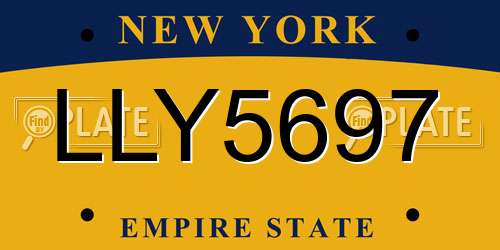 LLY5697 New York License Plate