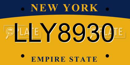 LLY8930 New York License Plate