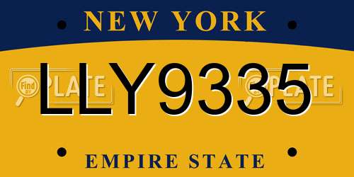 LLY9335 New York License Plate