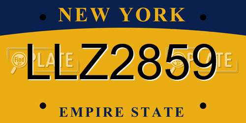 LLZ2859 New York License Plate