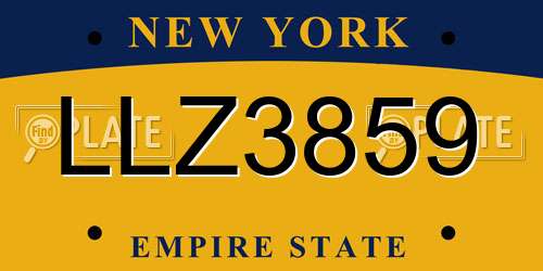 LLZ3859 New York License Plate