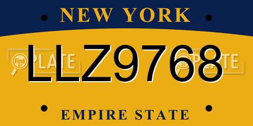 LLZ9768 New York License Plate