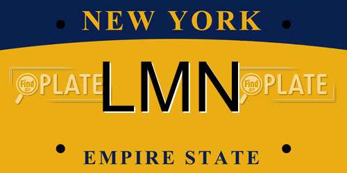 LMN New York License Plate
