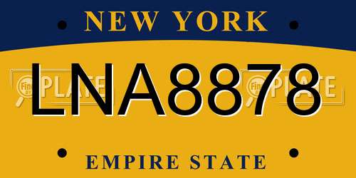 LNA8878 New York License Plate