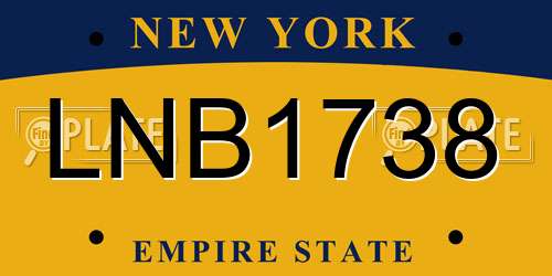 LNB1738 New York License Plate