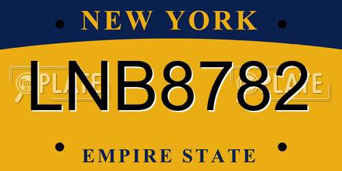 LNB8782 New York License Plate