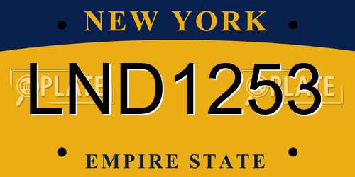 LND1253 New York License Plate