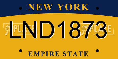 LND1873 New York License Plate