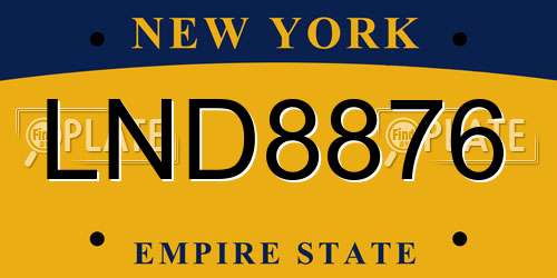 LND8876 New York License Plate