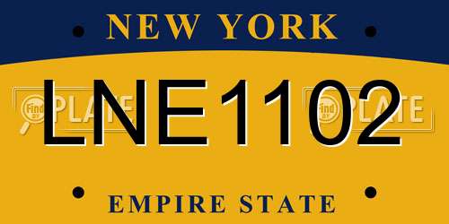 LNE1102 New York License Plate
