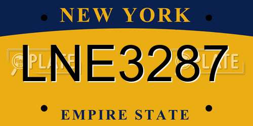 LNE3287 New York License Plate