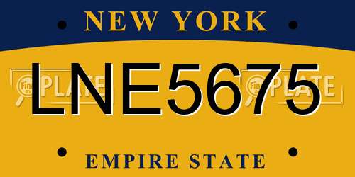 LNE5675 New York License Plate