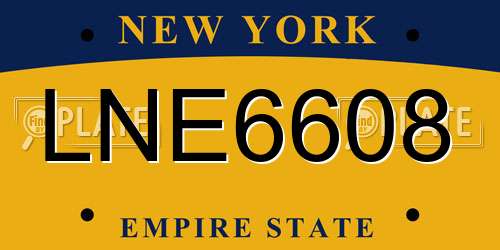 LNE6608 New York License Plate