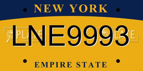 LNE9993 New York License Plate