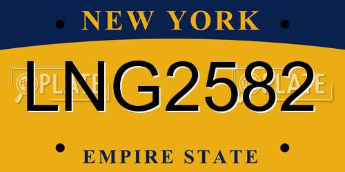 LNG2582 New York License Plate