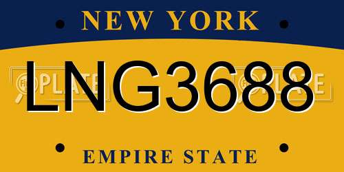 LNG3688 New York License Plate