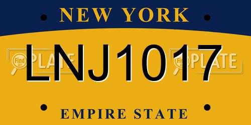 LNJ1017 New York License Plate