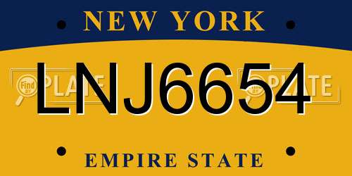 LNJ6654 New York License Plate