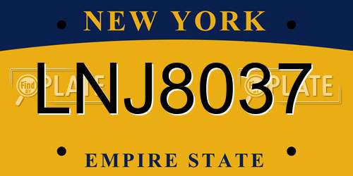 LNJ8037 New York License Plate