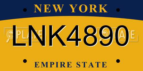 LNK4890 New York License Plate