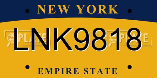 LNK9818 New York License Plate