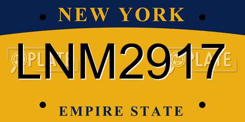 LNM2917 New York License Plate