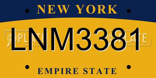 LNM3381 New York License Plate