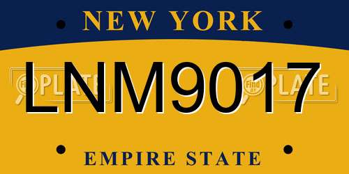 LNM9017 New York License Plate