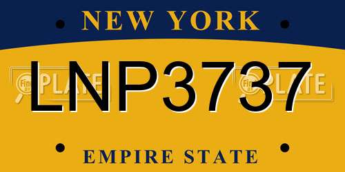 LNP3737 New York License Plate