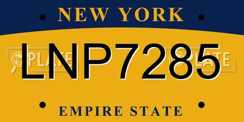 LNP7285 New York License Plate