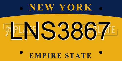 LNS3867 New York License Plate