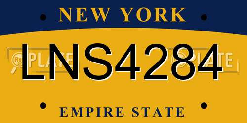 LNS4284 New York License Plate