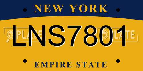 LNS7801 New York License Plate