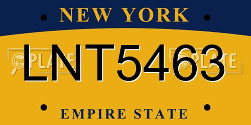 LNT5463 New York License Plate