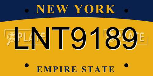 LNT9189 New York License Plate