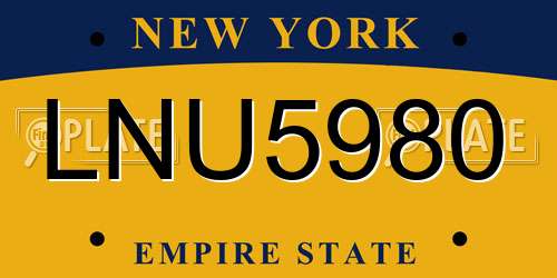 LNU5980 New York License Plate