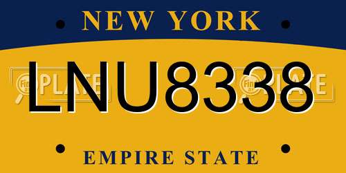 LNU8338 New York License Plate