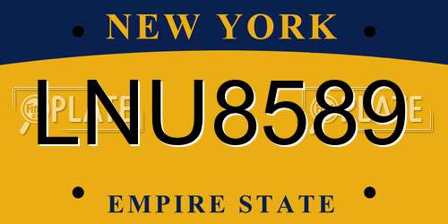 LNU8589 New York License Plate