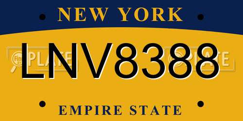 LNV8388 New York License Plate