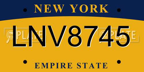 LNV8745 New York License Plate
