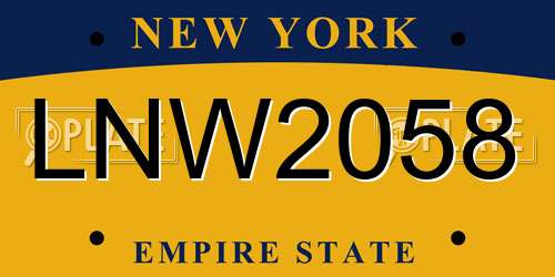 LNW2058 New York License Plate