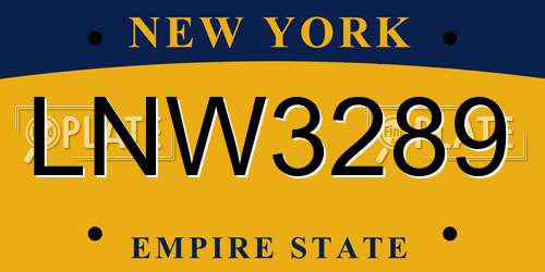 LNW3289 New York License Plate