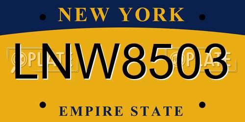 LNW8503 New York License Plate
