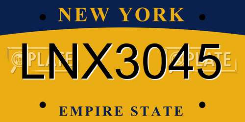 LNX3045 New York License Plate