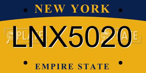 LNX5020 New York License Plate
