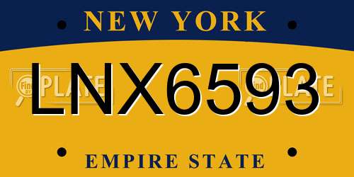 LNX6593 New York License Plate