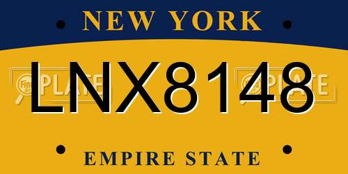 LNX8148 New York License Plate