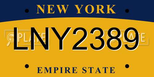 LNY2389 New York License Plate