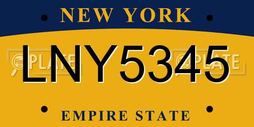 LNY5345 New York License Plate